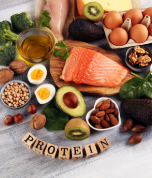 Protein Ingredients Market Size, Share, Trends, Growth Report